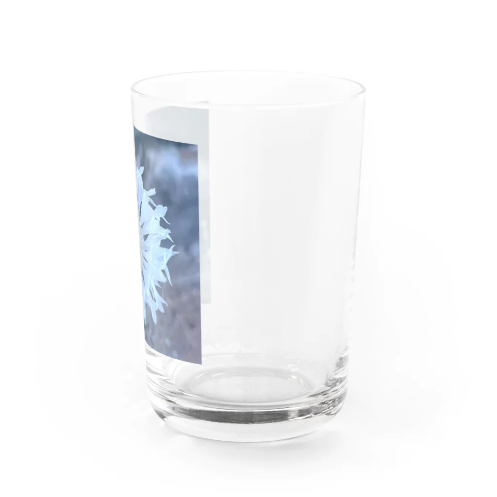 賄い。の世界で1番好きな花。 Water Glass :right