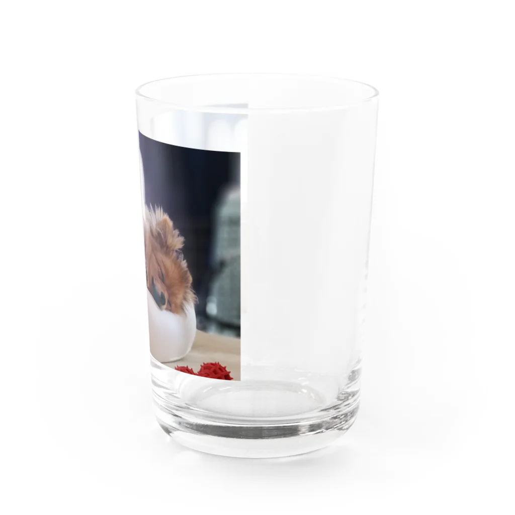 mochi💭🐾の居眠りれあ💭🐾 Water Glass :right