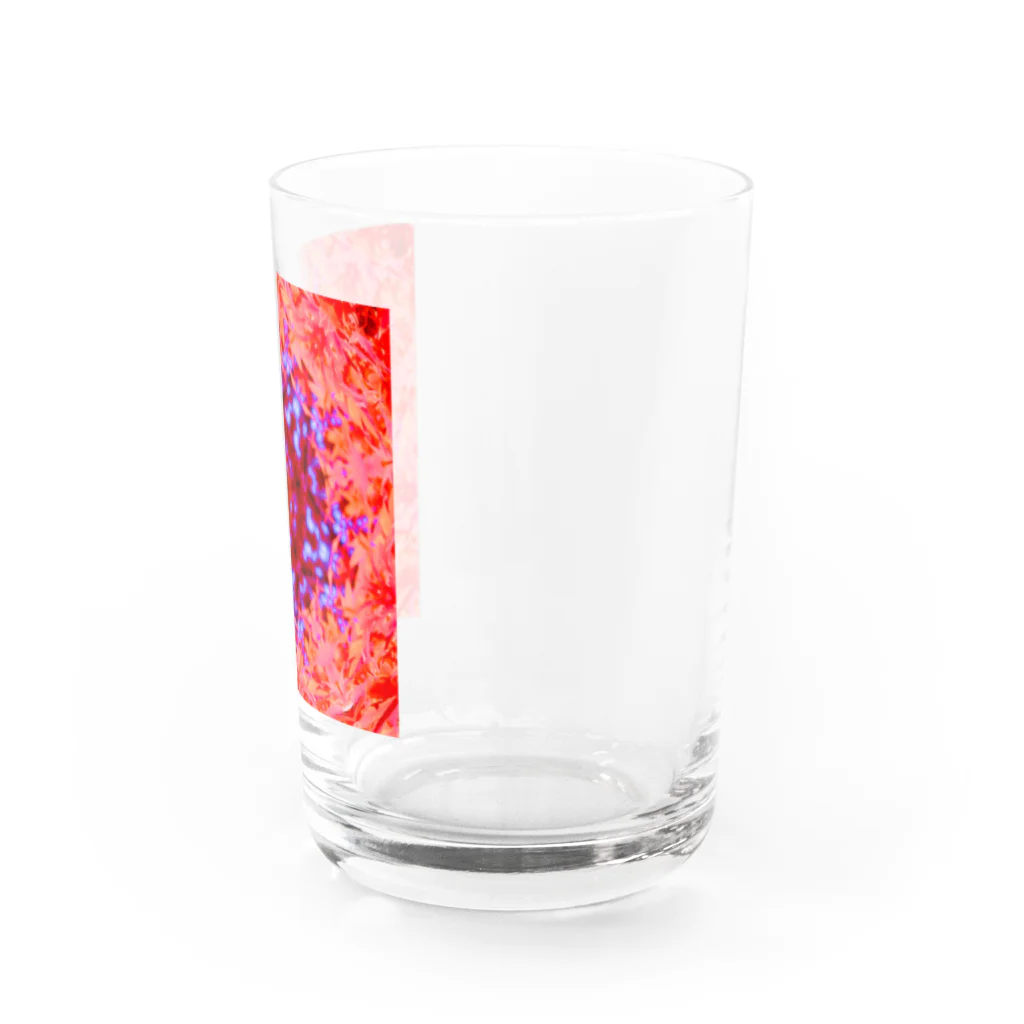 Flower kaleidoscopeの紅葉万華鏡 Water Glass :right