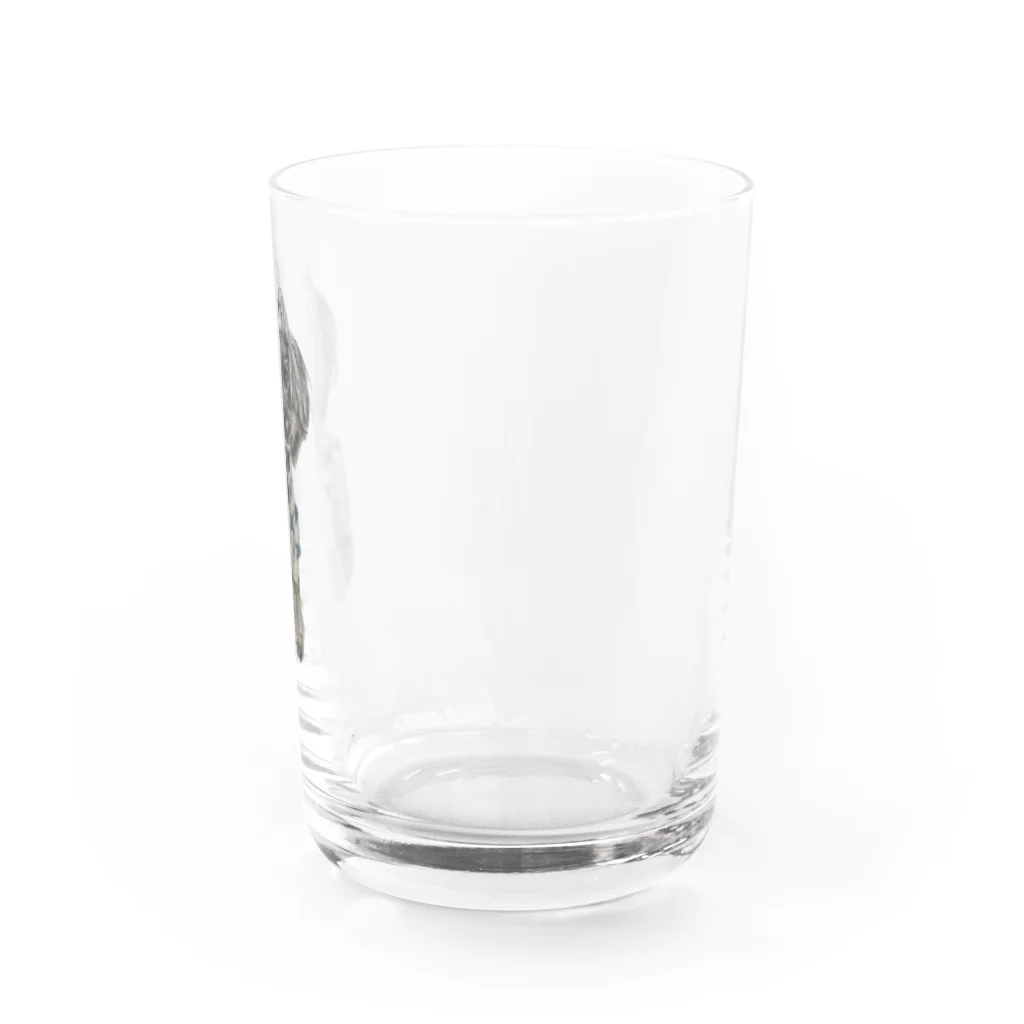 すずめR33,12のシュナウザー Water Glass :right