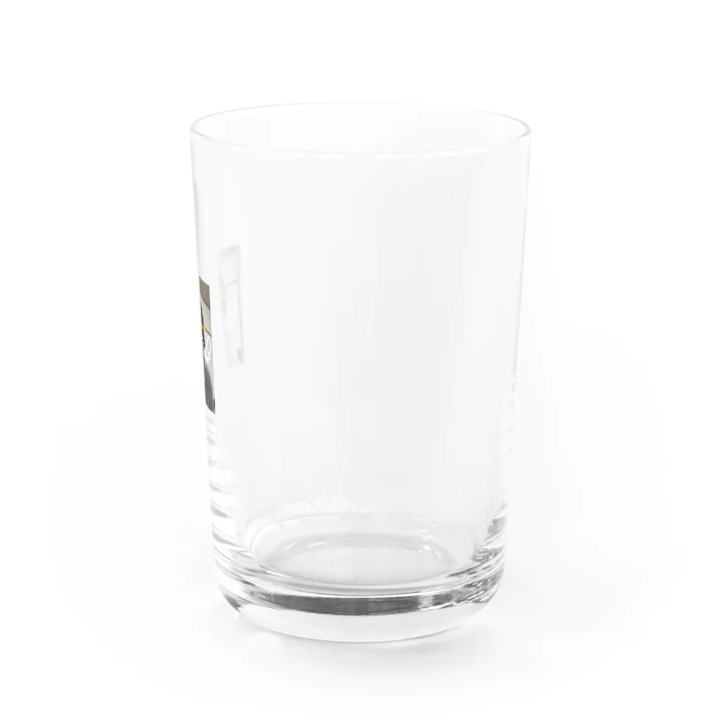 豚キムチのきりんもうま Water Glass :right