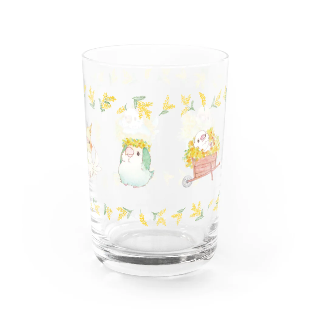 ゆとり屋のことりとミモザ Water Glass :right