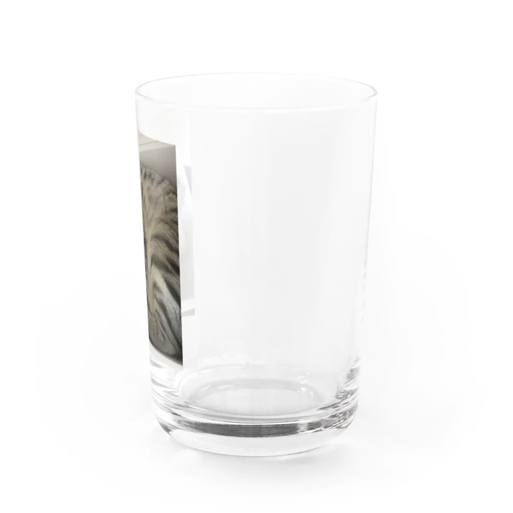 はむちゃんねる🐹のヒナタ様グラス Water Glass :right