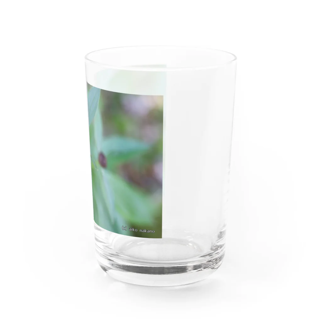 Aiko Nakanoの芍薬？ Water Glass :right