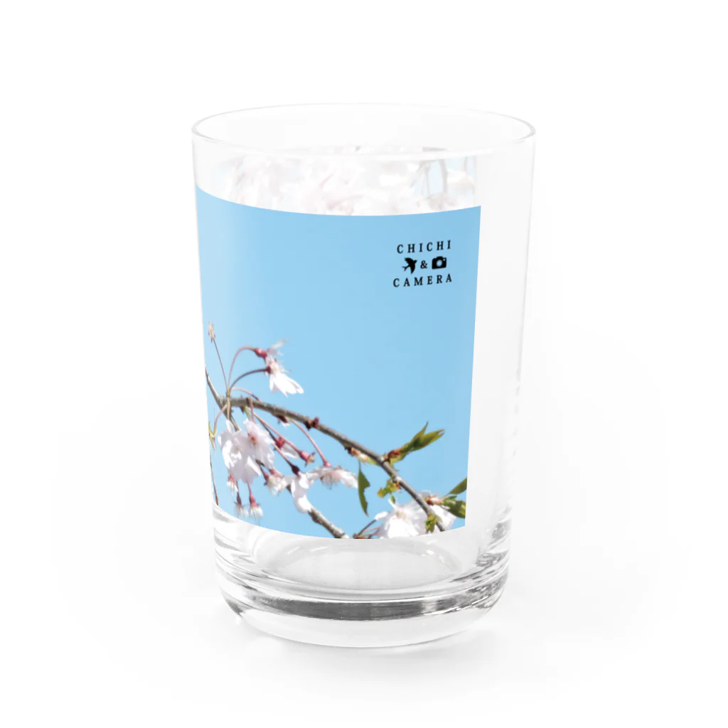 CHICHI&CAMERAのスズメ Water Glass :right