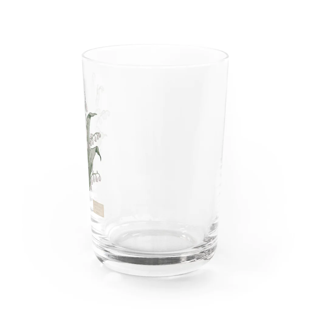 veludoの谷間の姫百合 Water Glass :right