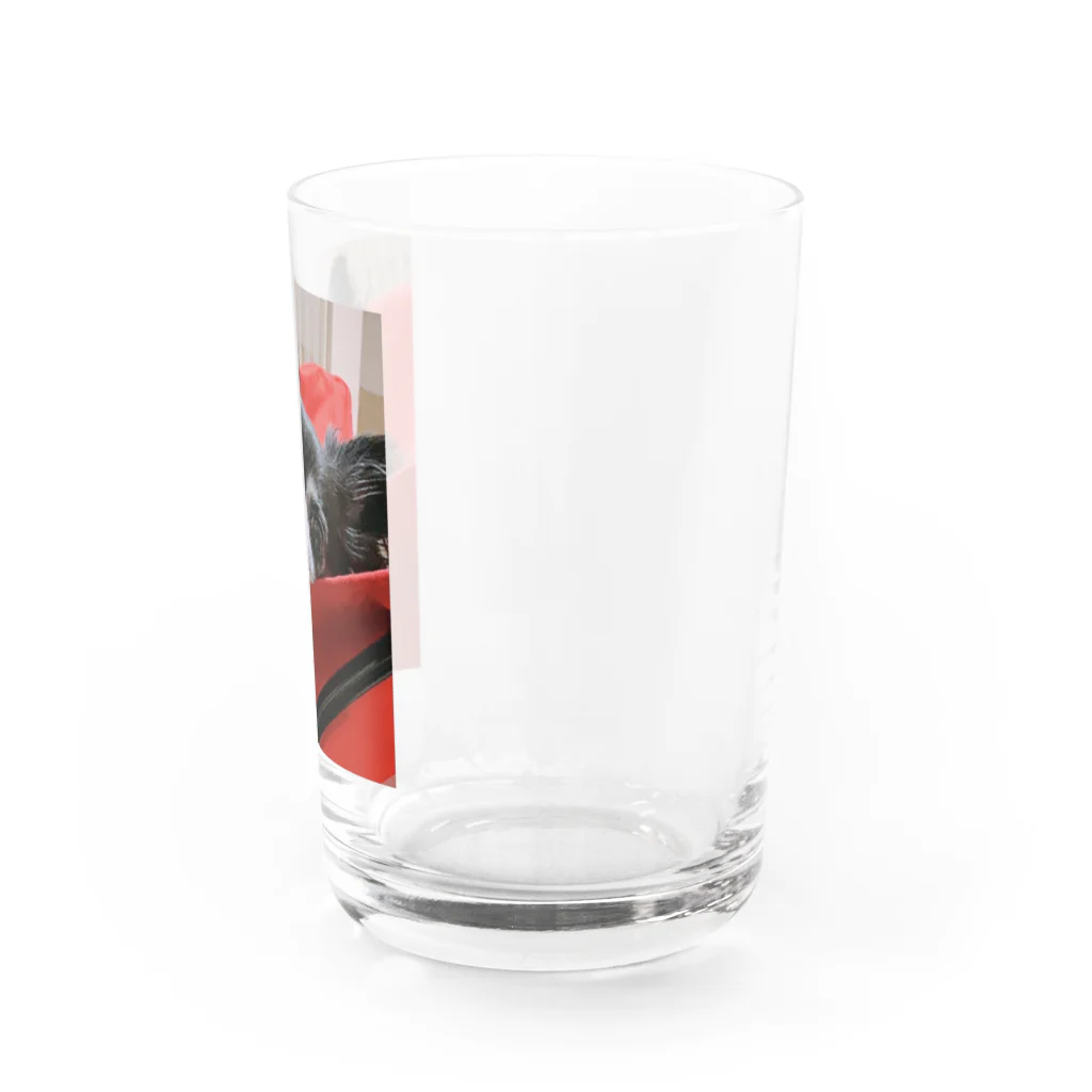 おじいちゃんチワワのハヤテのうちのハヤテ Water Glass :right