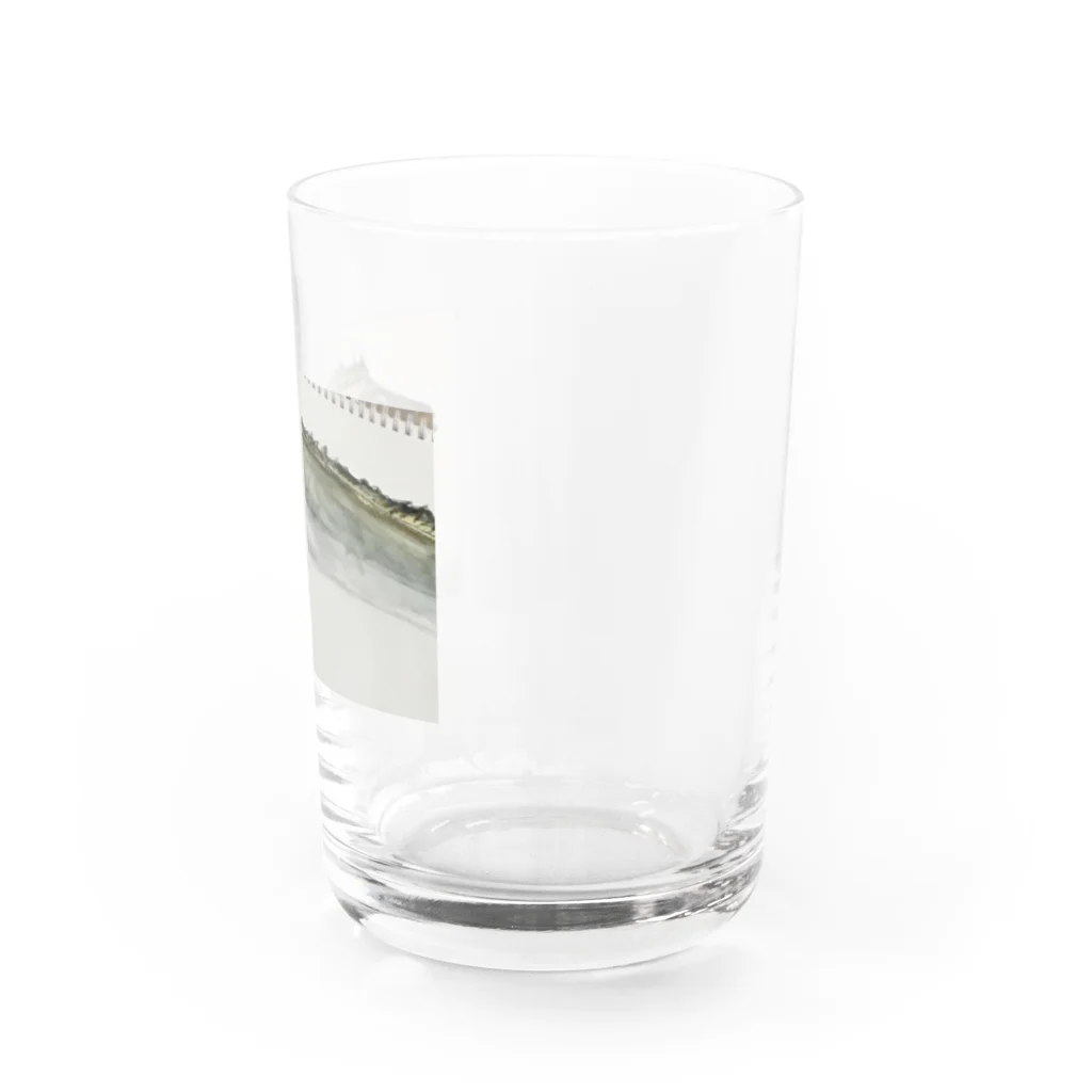 よっちーStoreのたちうおくん Water Glass :right