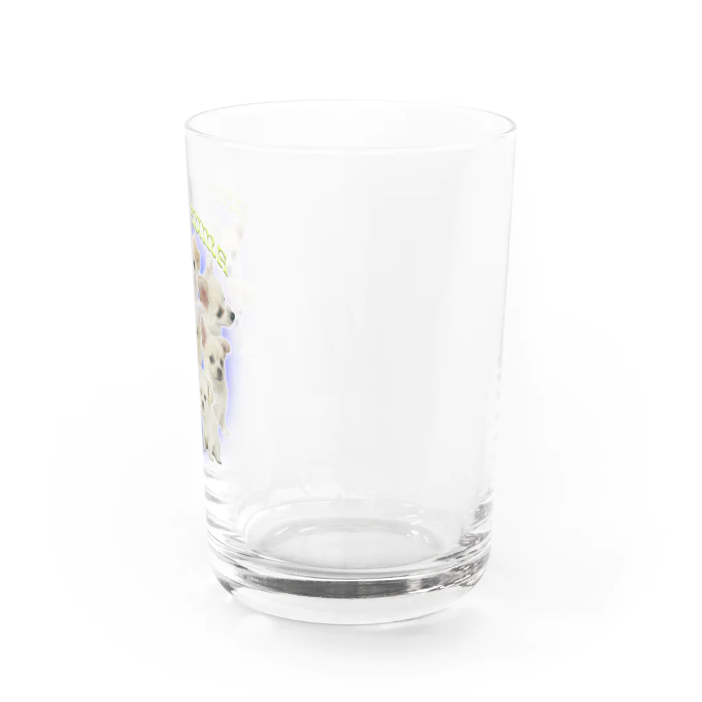 ARSTYのBORITOKUMA -puppyhood- Water Glass :right