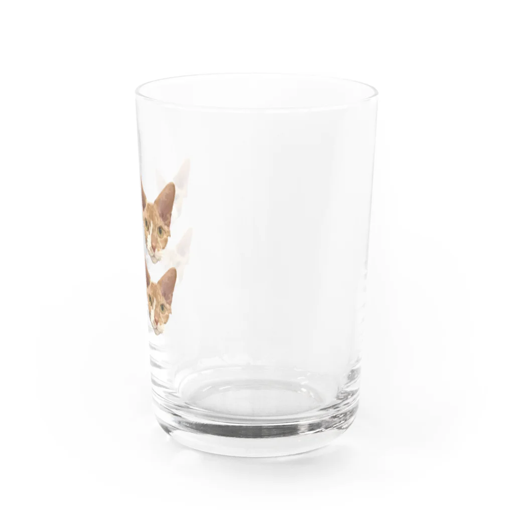 小鳥と映画館のオーダー品 バズちゃん スフィンクス 顔 大2 小2 シール用 他 Water Glass :right