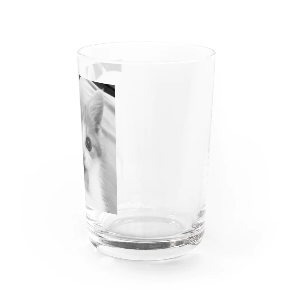 保護猫支援ショップ・パール女将のお宿のおもいで Water Glass :right