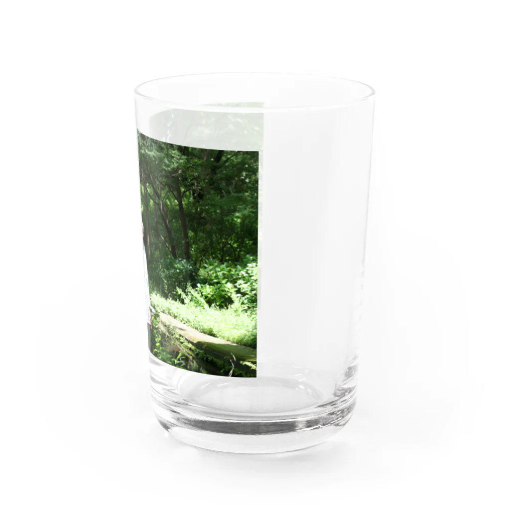 photo-kiokuのフォレスト Water Glass :right