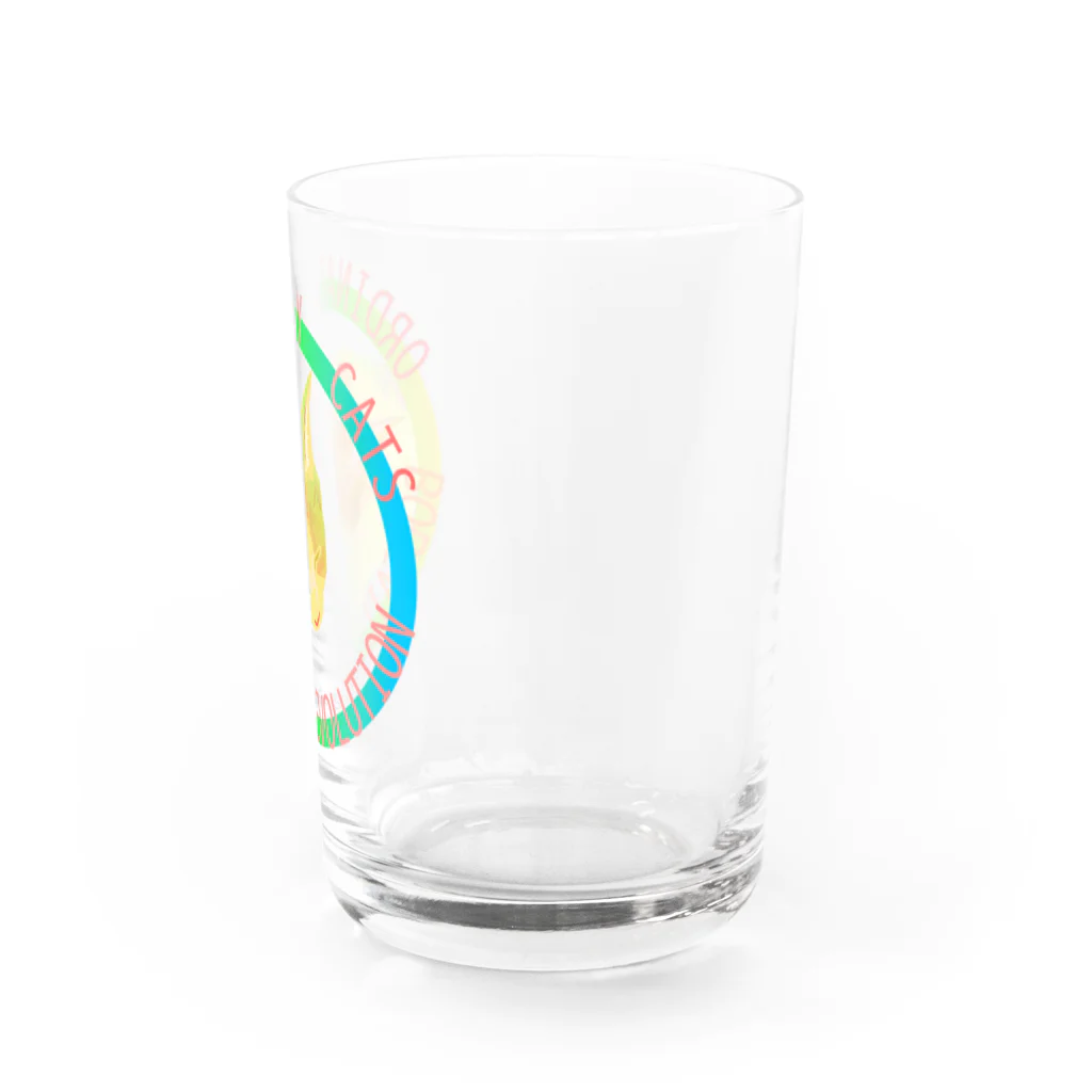 『NG （Niche・Gate）』ニッチゲート-- IN SUZURIのOrdinary Cats07h.t.(春) Water Glass :right