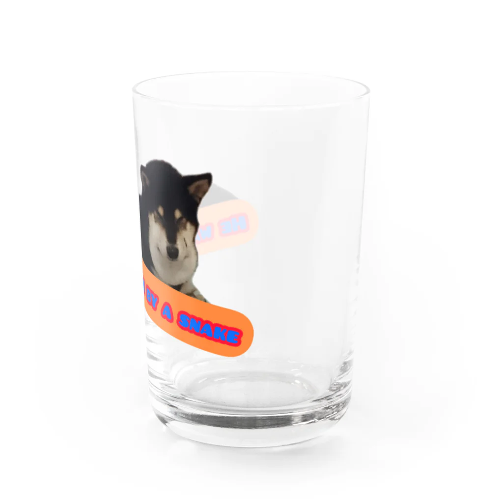 柴犬と柴犬のマムシ柴犬2 Water Glass :right