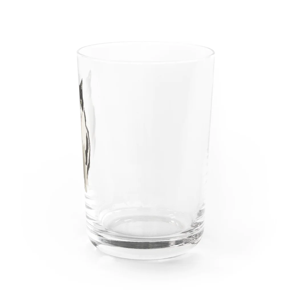 小鳥と映画館のカッコいいネコ Water Glass :right