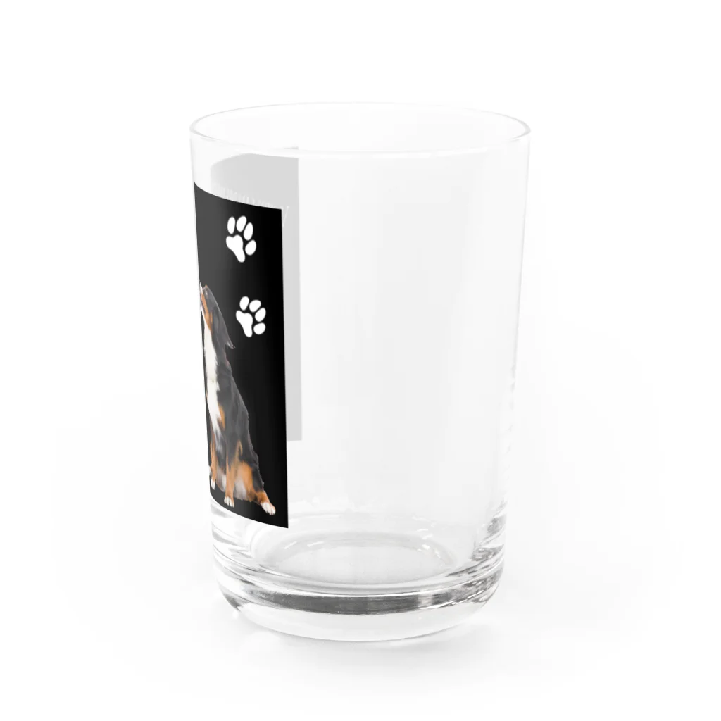 ボナばにのモデルボナくん Water Glass :right