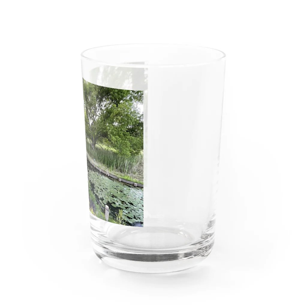 EijiPonの公園の一幕。 Water Glass :right