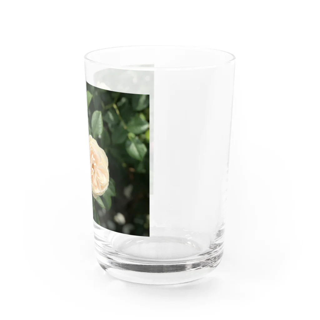 amekoamenokoのflower Water Glass :right