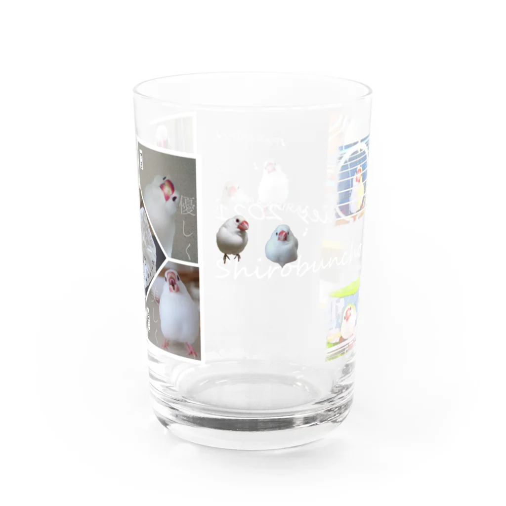 Oh._.happy❤happy shopのしろぶんちょレディース参上～ぱらりらぱらりら～ Water Glass :right