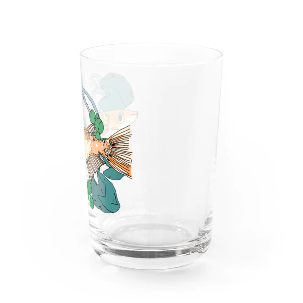 恒福水路のメダカ（ヒメダカ）グラス Water Glass :right