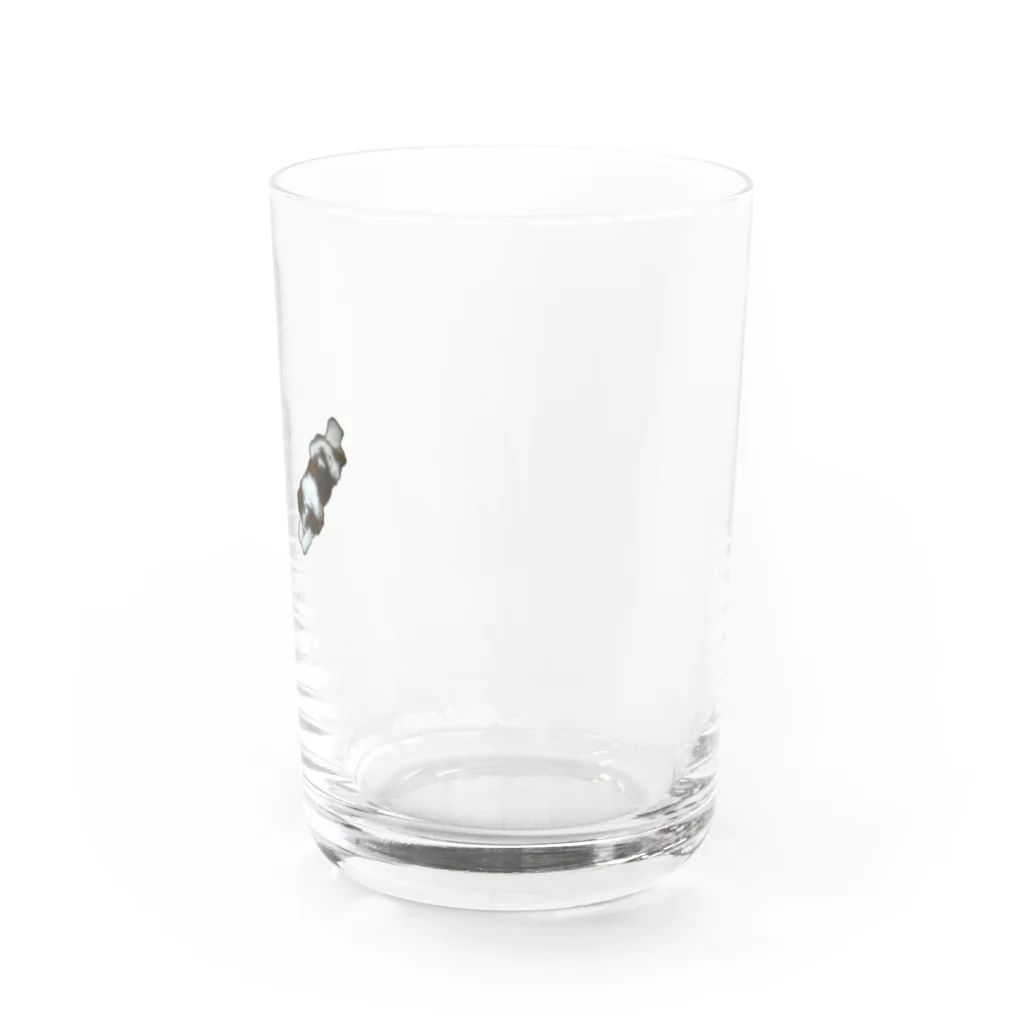 たかなからしたかなの寝る犬 Water Glass :right