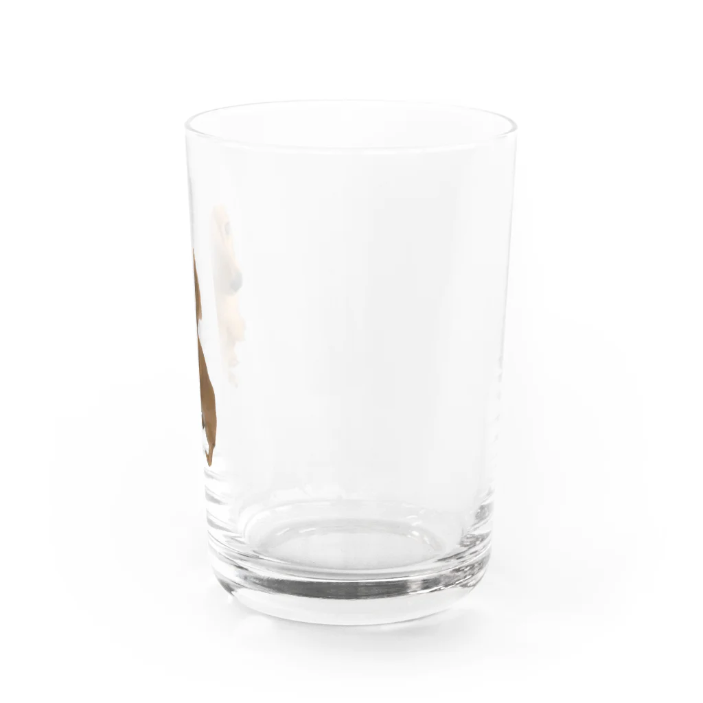 雑貨屋ナムジャイのモグ Water Glass :right