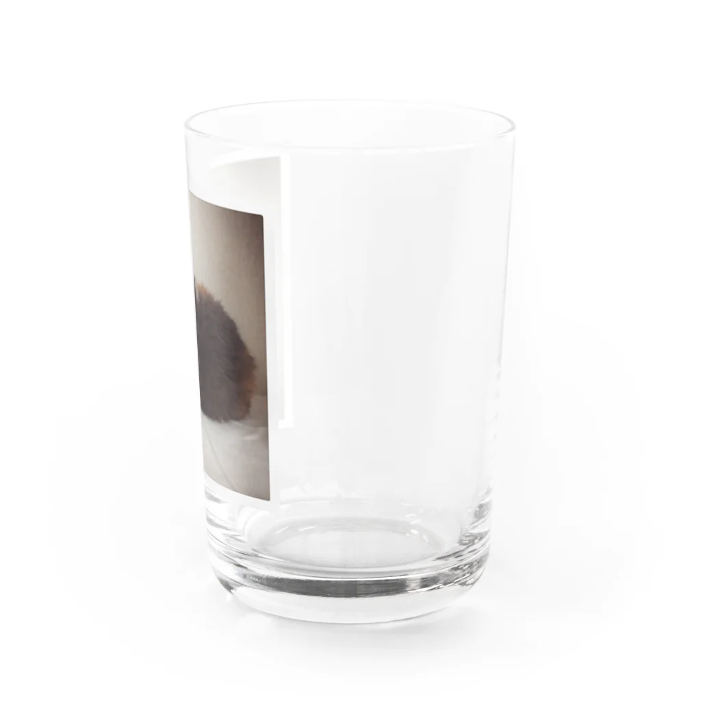 shop_イエティのイエティグッズ Water Glass :right