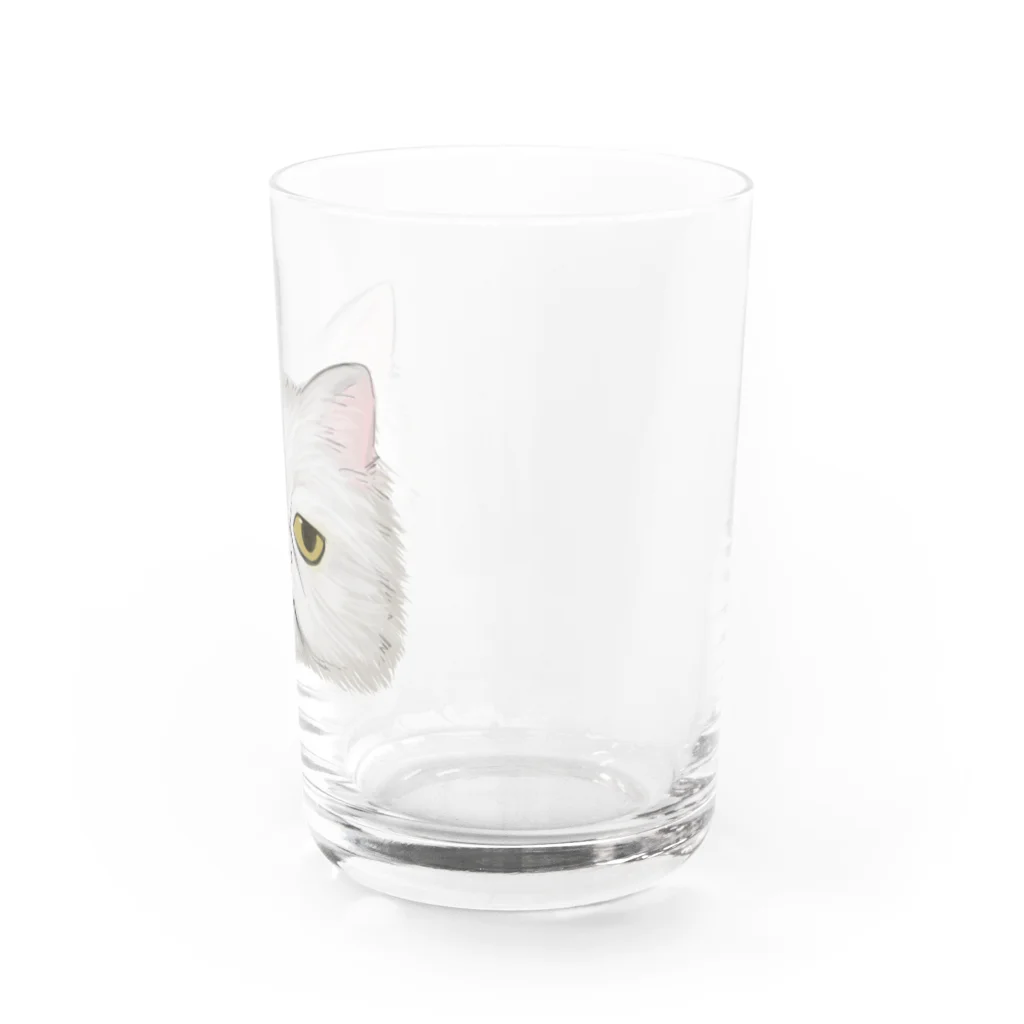 まるのペルシャ猫は見ている Water Glass :right