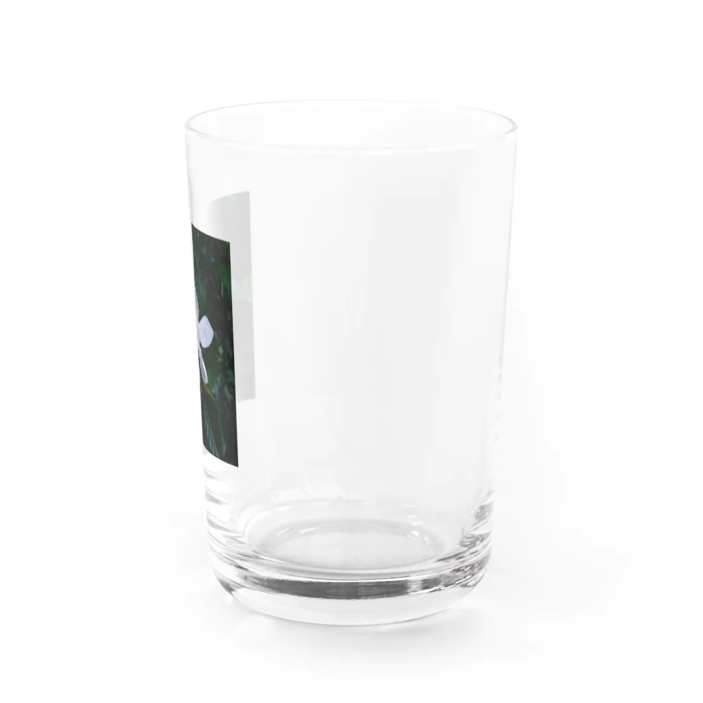 サトリアートのKuchinashi Water Glass :right