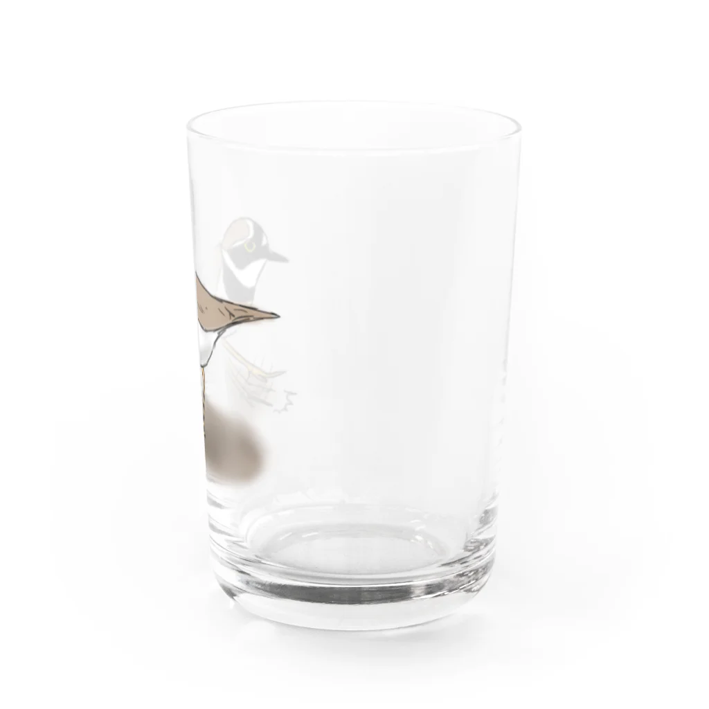 Coo-birdのペチペチして獲物を追い出すコチドリ Water Glass :right