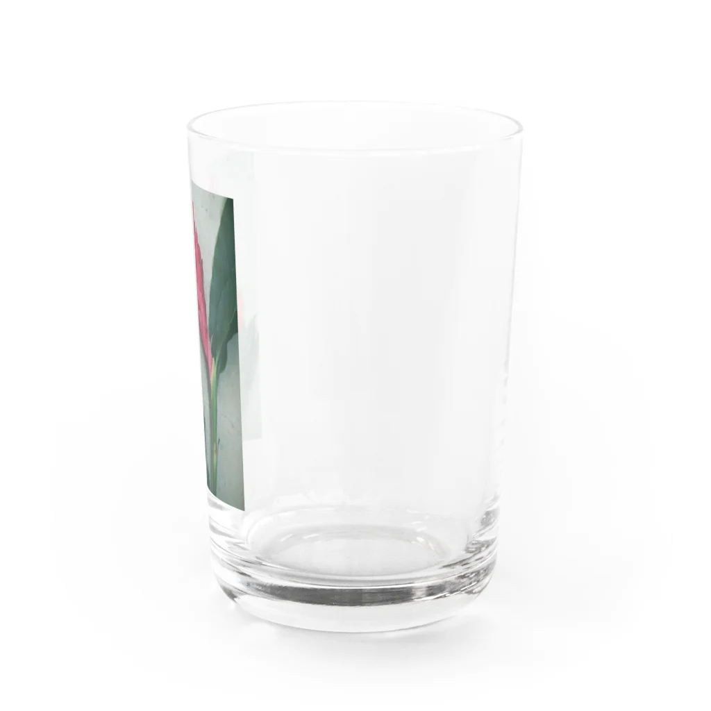 botanical museumのflower Water Glass :right