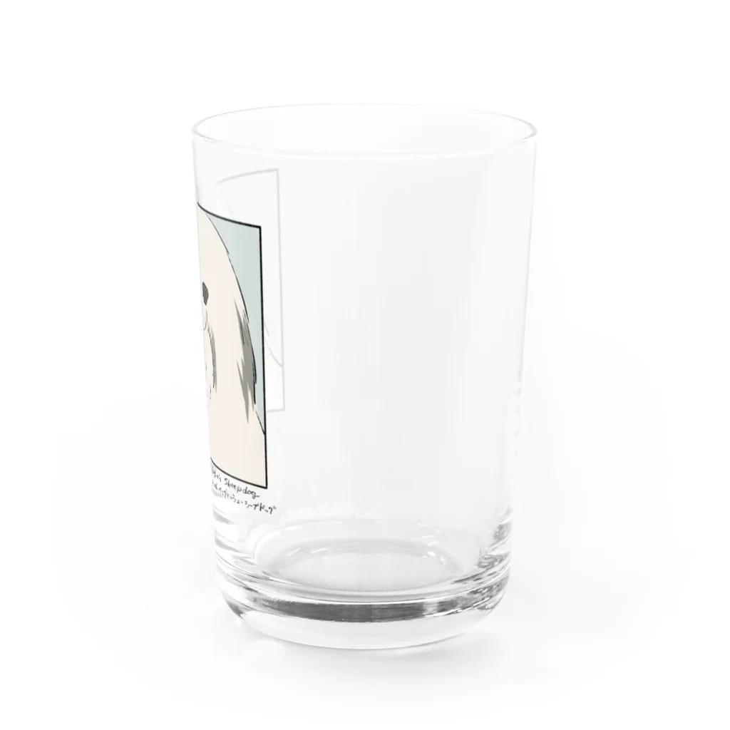 29Q.の□オールド・イングリッシュ・シープドッグ Water Glass :right