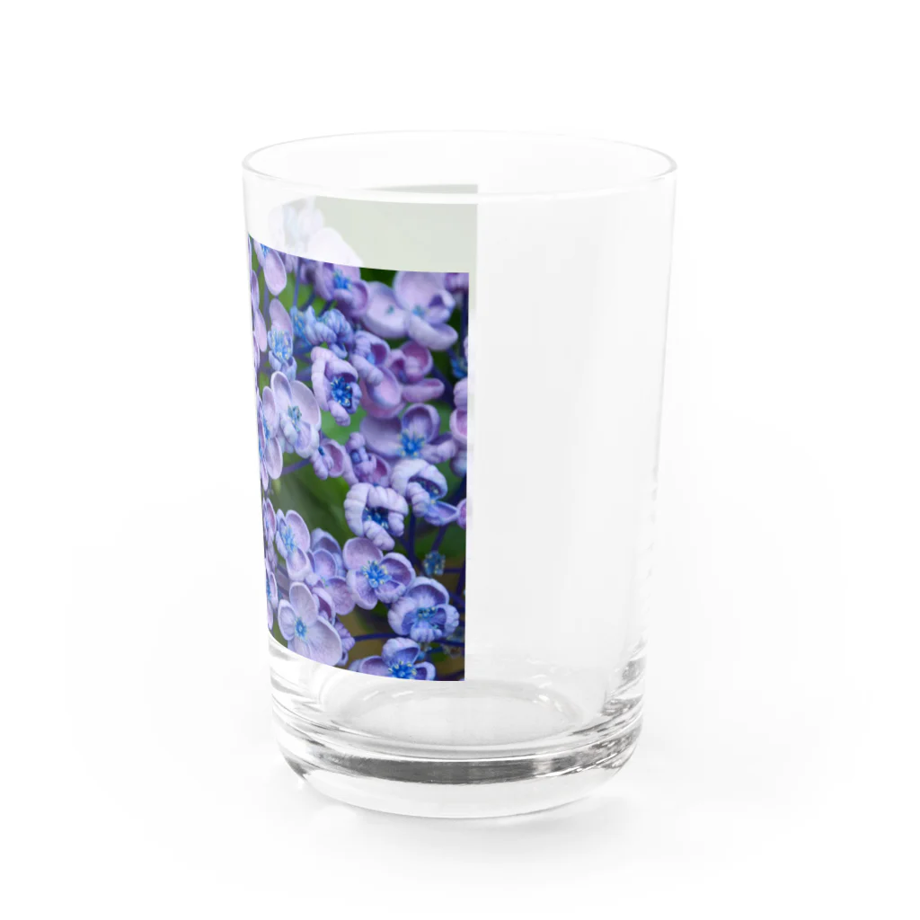 M&Hの紫陽花 Water Glass :right