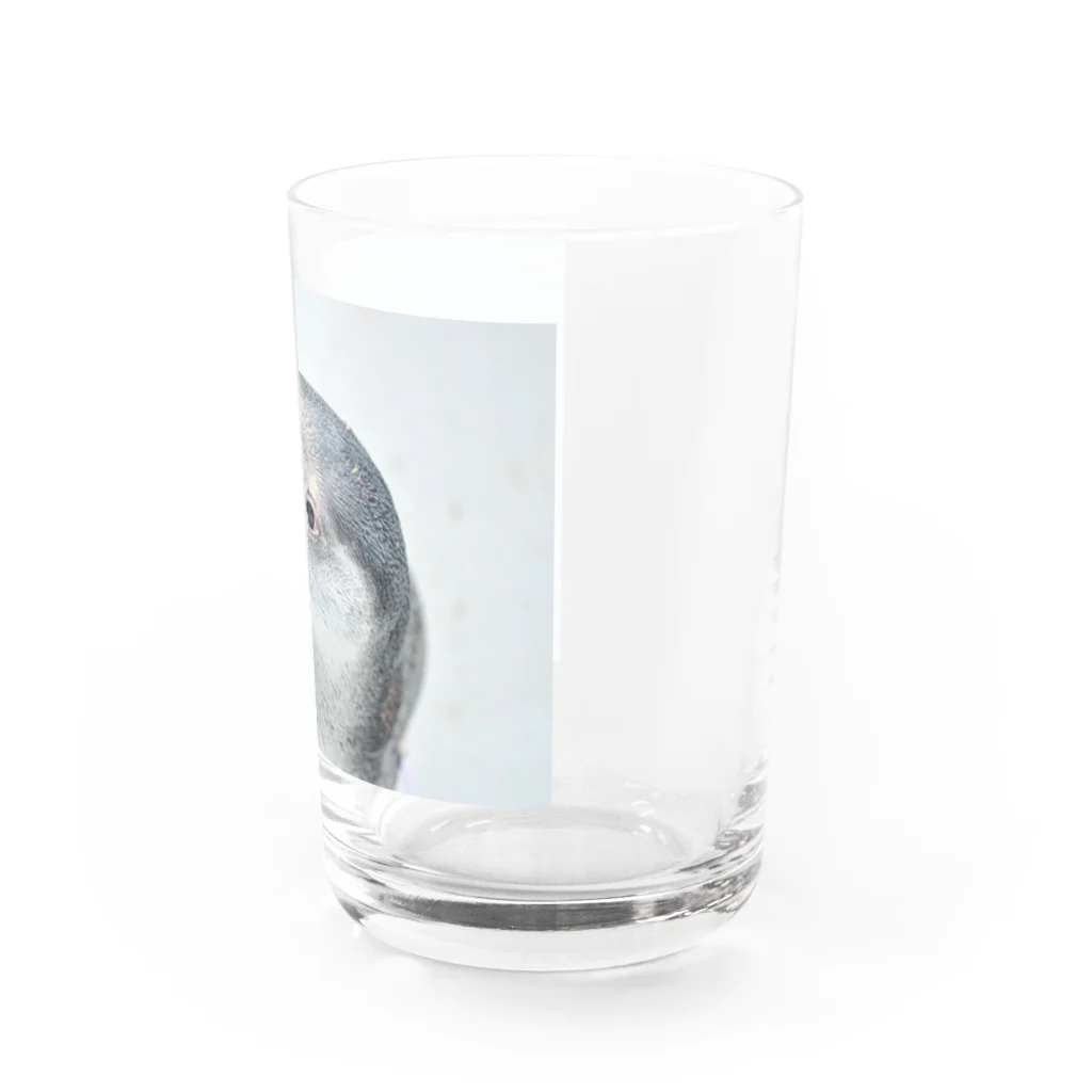 M&Hのペンギン Water Glass :right