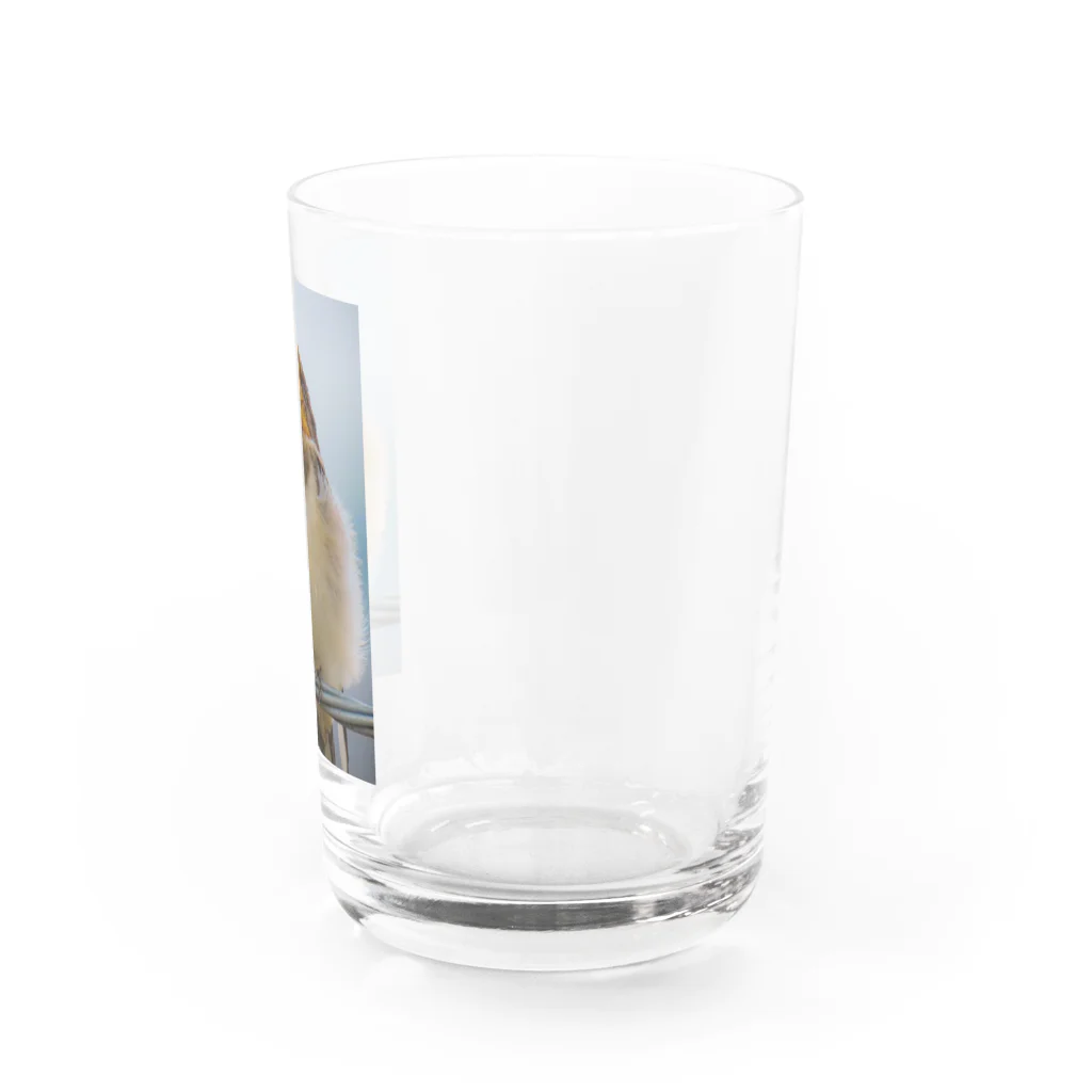 たかたかのモフモフつばめっ子　その2 Water Glass :right