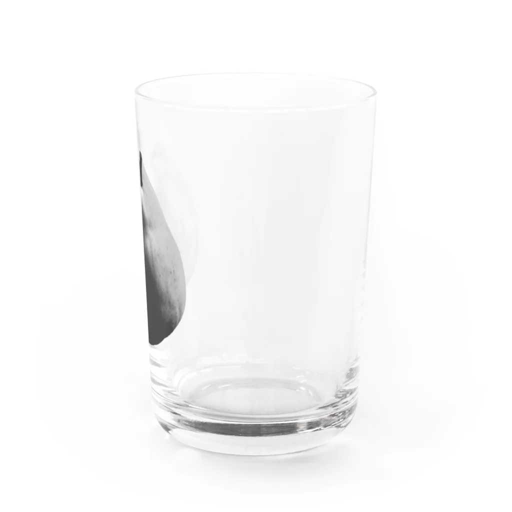 ハヤシ屋の洋梨好き-monochrome  Water Glass :right