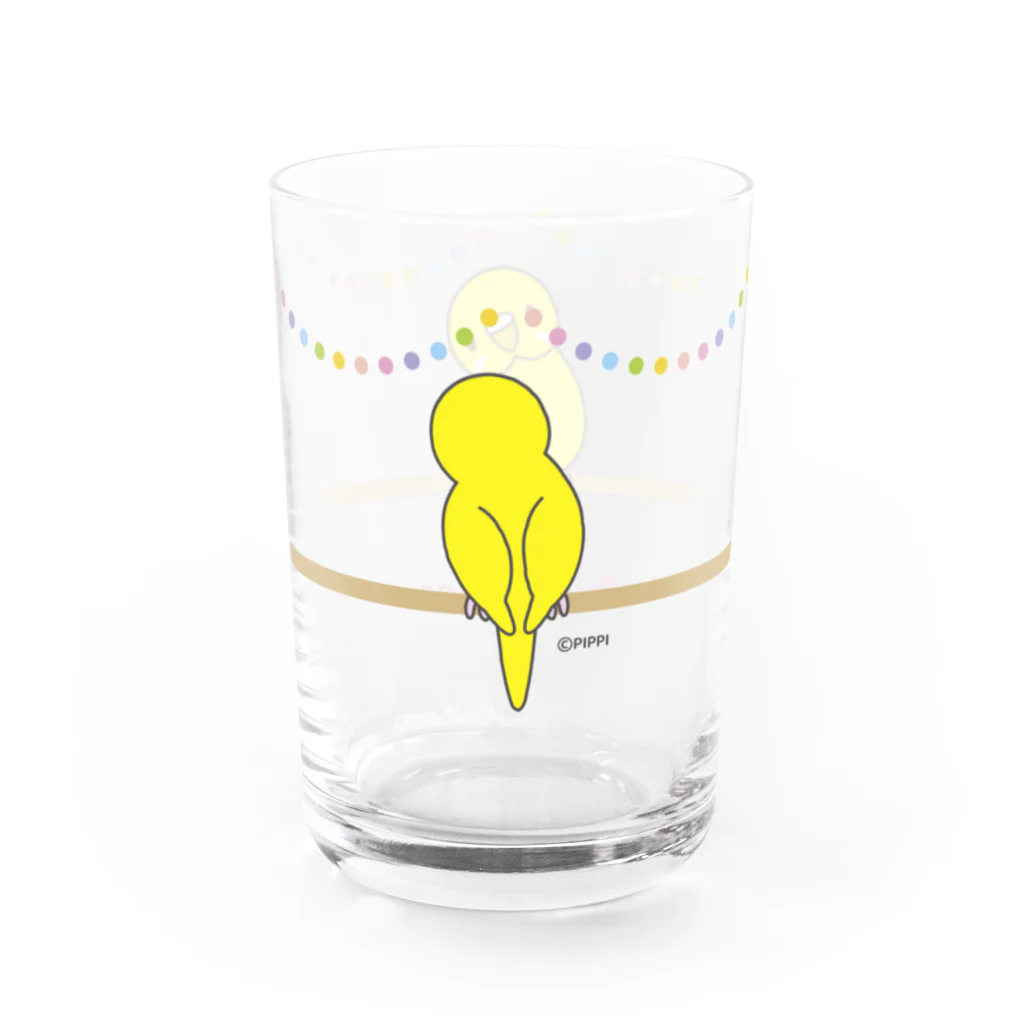 ぴっぴの巣♪ ＊セキセイインコ＊のルチノー女の子＊セキセイインコ＊ Water Glass :right