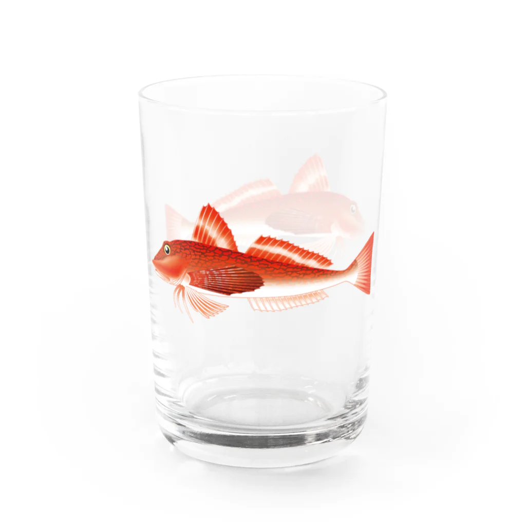 【魚類】おさかなちゃん☆図鑑の【魚類】ホウボウちゃん☆魴鮄 Water Glass :right