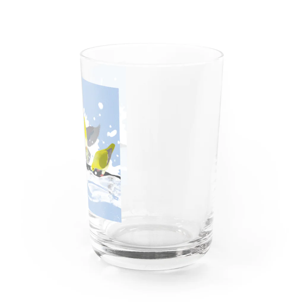 piro piro piccoloのアオバト＠大磯 Water Glass :right