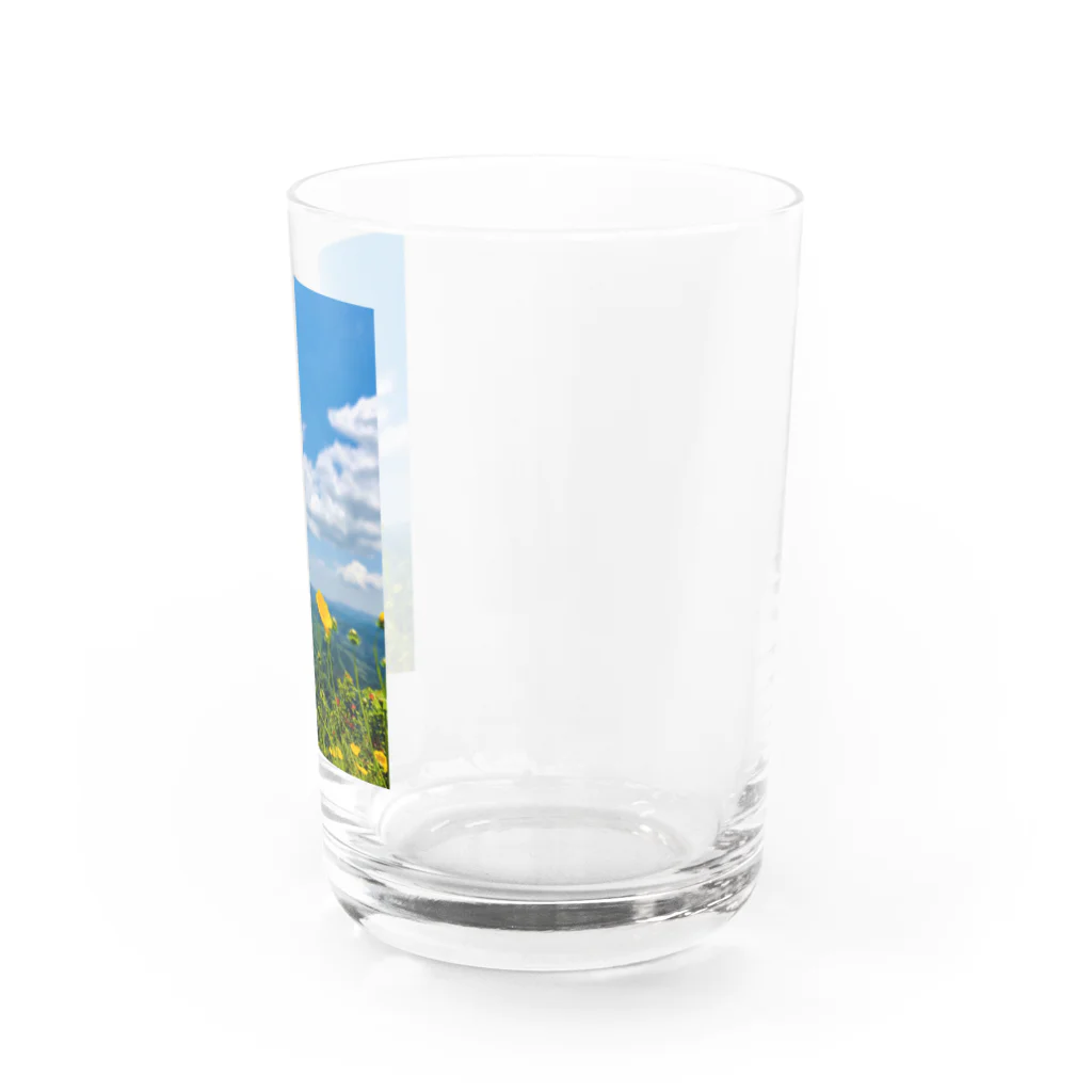 ジャスミンティーのMountainflower Water Glass :right