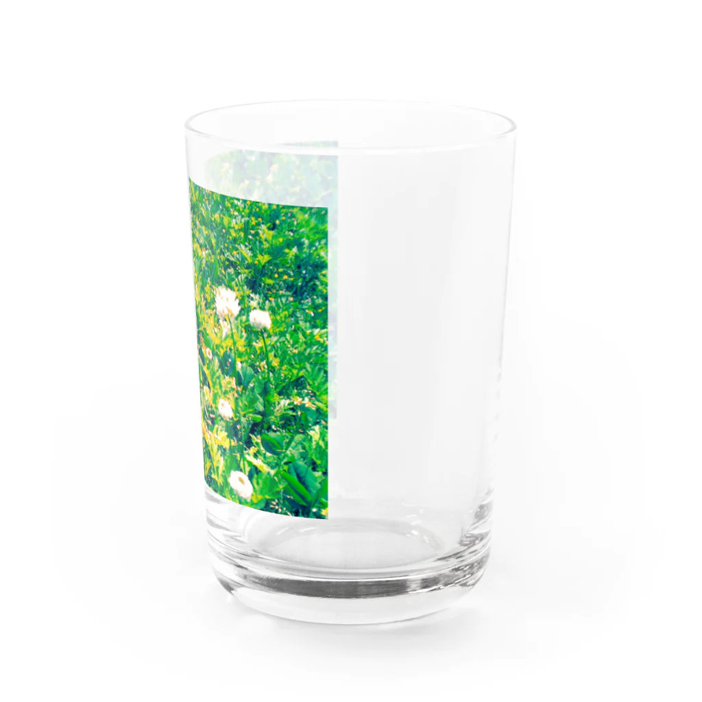 ラズリのトイカメラの青い蝶々とシロツメクサ Water Glass :right