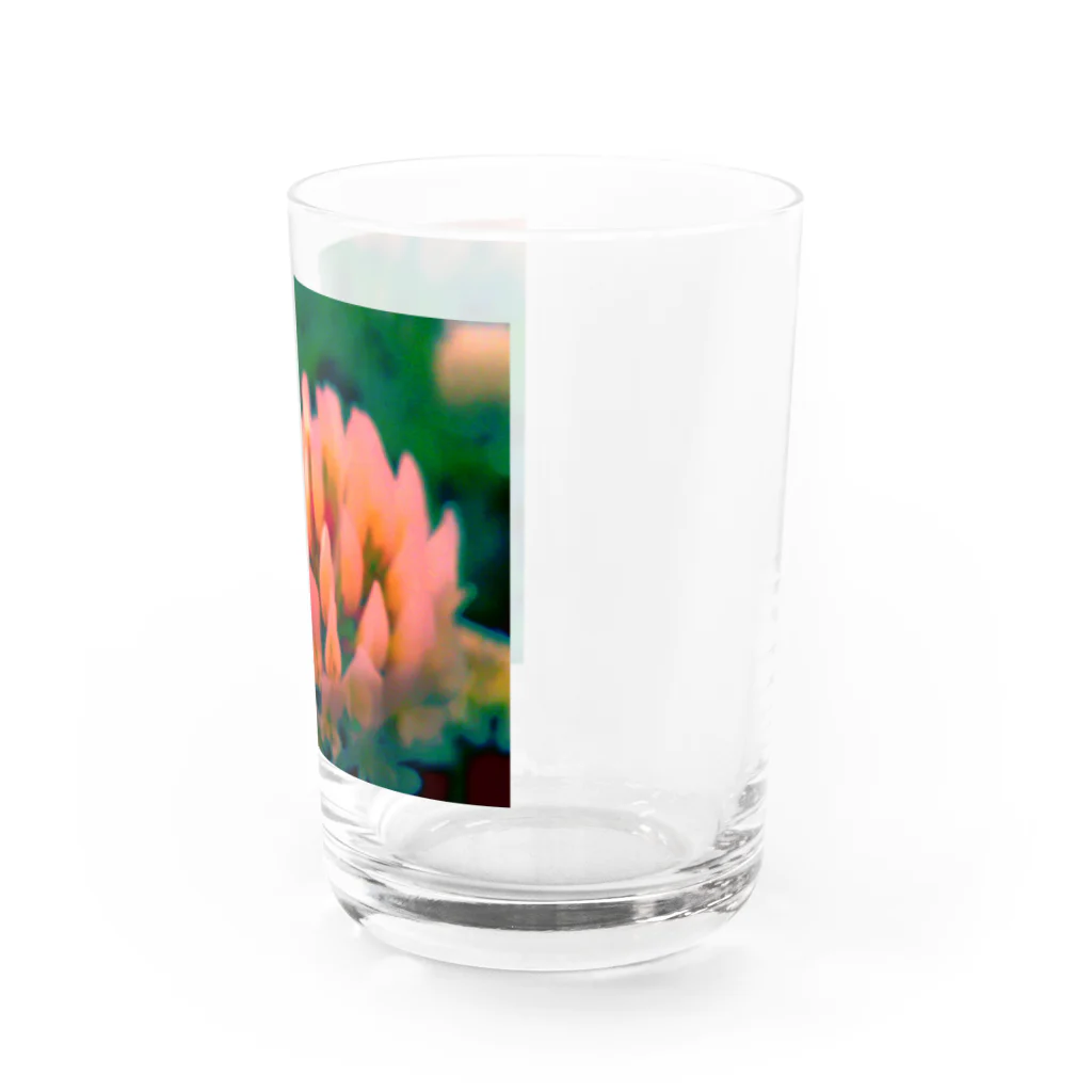 ラズリのトイカメラのシロツメクサ Water Glass :right