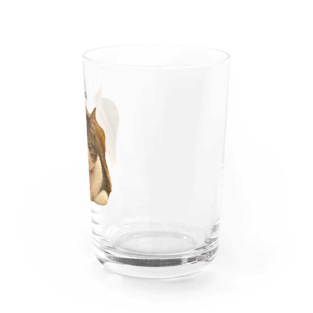 猫カフェ ぶぅたんグッズショップの仏のような寝顔のトコちゃん Water Glass :right