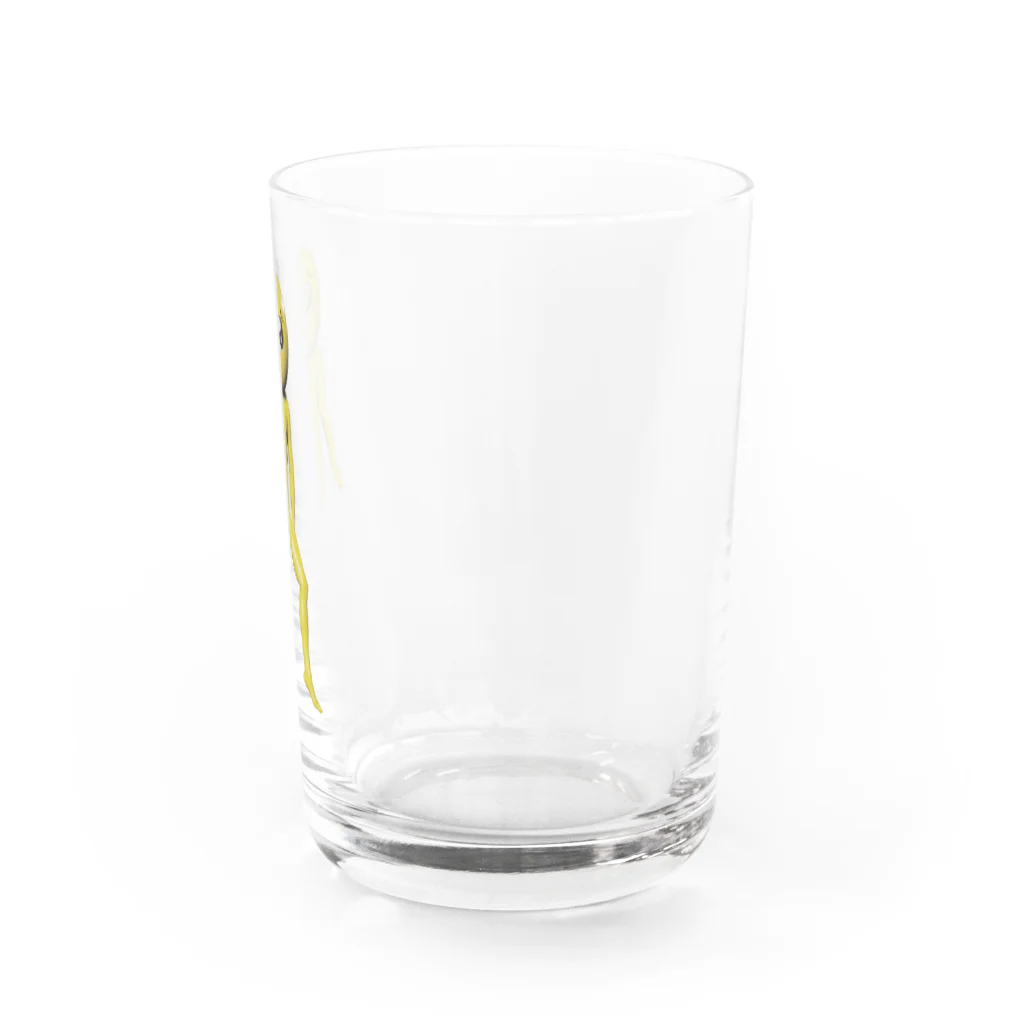 くそいサイトのオンラインショップのかわいいPIEN Water Glass :right