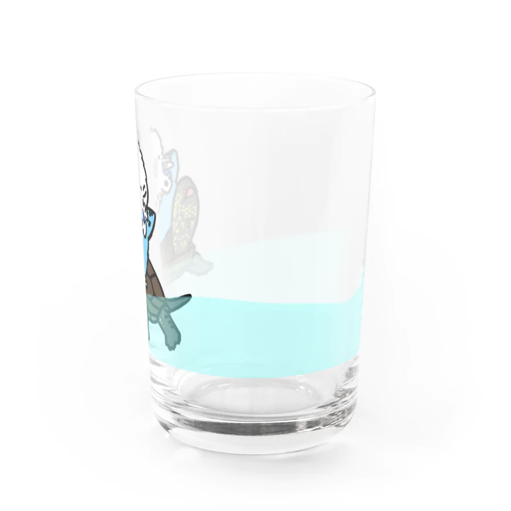 ひかるのジャンボセキセイインコとクサガメ(水あり) Water Glass :right