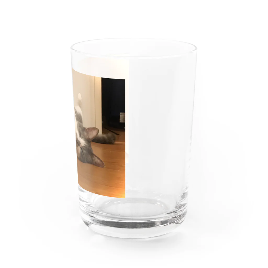 Momoji originalのちょりぱん Water Glass :right