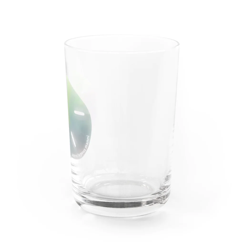 ペンギンのアトリエのスカシカシパン（水彩） Water Glass :right