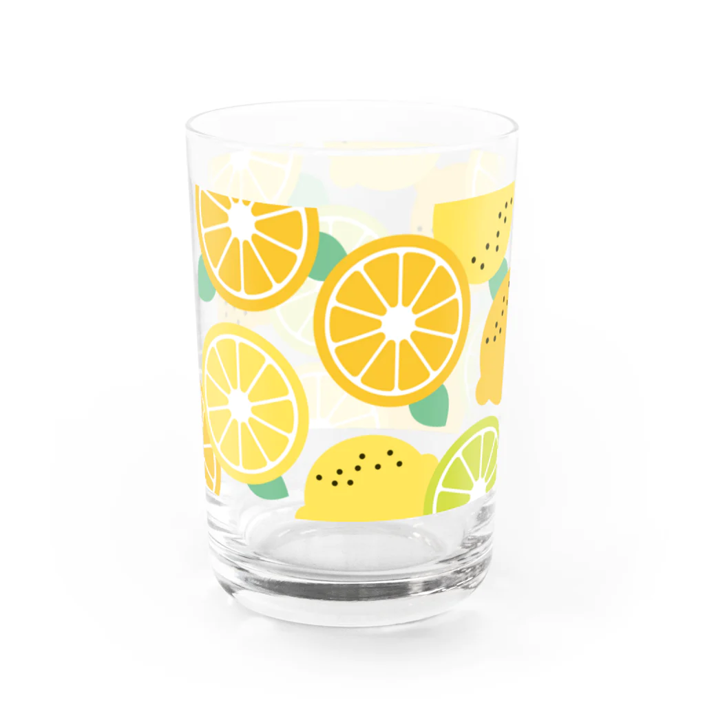 hr. grassのLEMON Water Glass :right