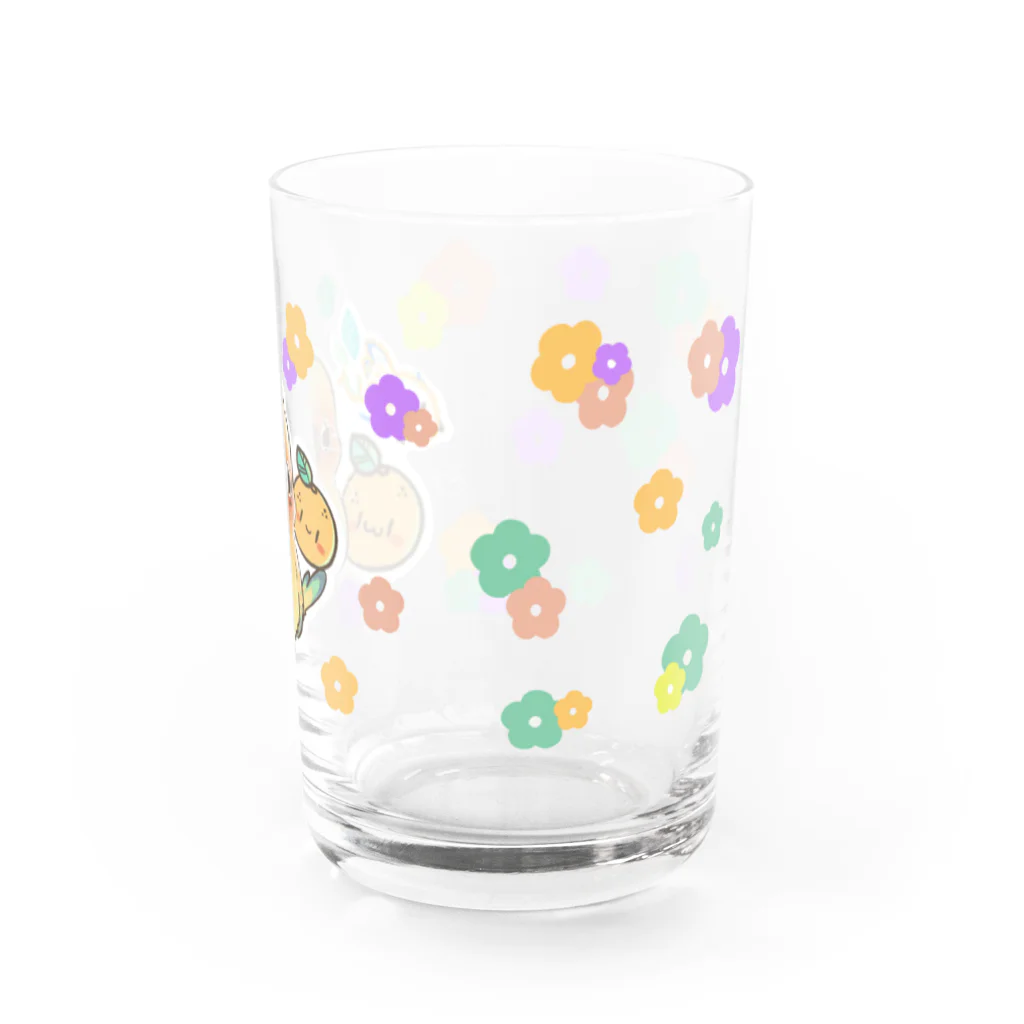 🌱風葉店🍎の柑橘コガネシリーズ Water Glass :right