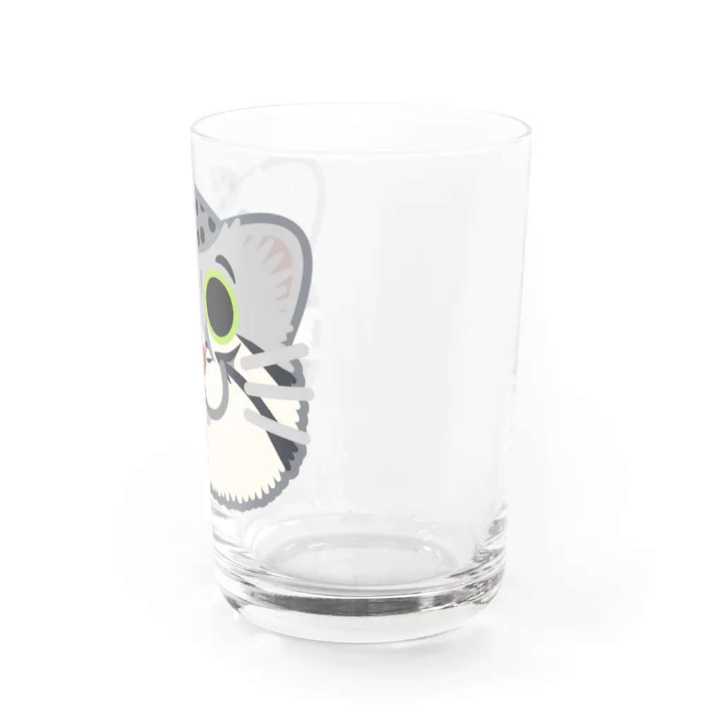 嶌星堂のマヌルネコ Water Glass :right